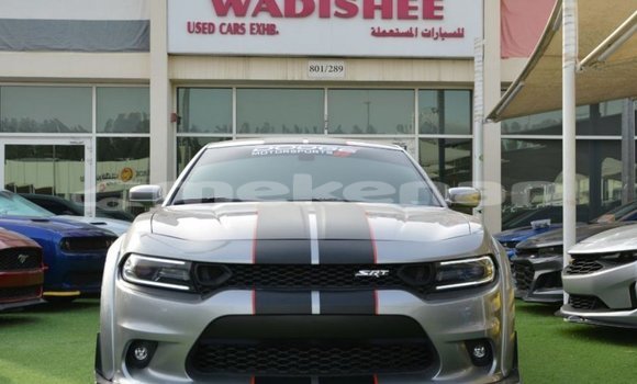 Buy Import Dodge Charger Other Car in Import - Dubai in Aragatsotn