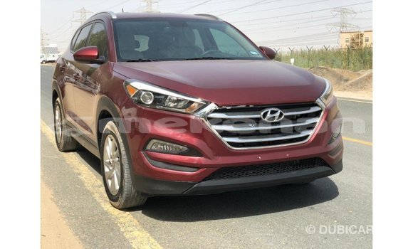 Buy Import Hyundai Tucson Red Car in Import - Dubai in Aragatsotn Buy Import Hyundai Tucson Red Car in Import - Dubai in Aragatsotn