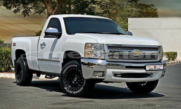 Buy Import Chevrolet Silverado White Car in Import - Dubai in Aragatsotn Buy Import Chevrolet Silverado White Car in Import - Dubai in Aragatsotn