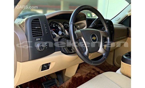 Buy Import Chevrolet Silverado White Car in Import - Dubai in Aragatsotn Buy Import Chevrolet Silverado White Car in Import - Dubai in Aragatsotn
