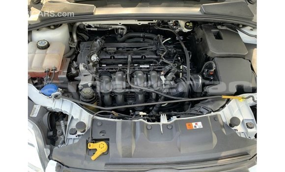 Buy Import Ford Focus White Car in Import - Dubai in Aragatsotn Buy Import Ford Focus White Car in Import - Dubai in Aragatsotn