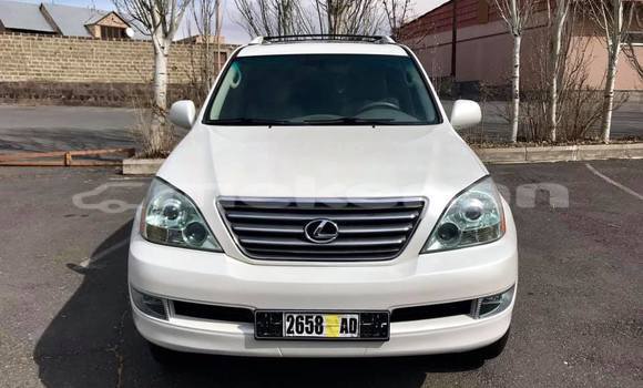 Medium with watermark 55505662 830801610588462 5357496493693468672 n