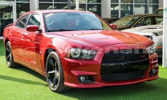 Buy Import Dodge Charger Red Car in Import - Dubai in Aragatsotn