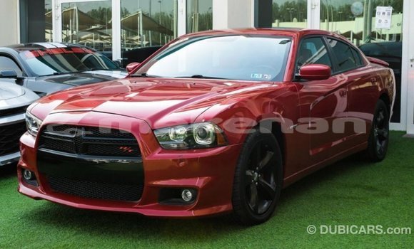 Buy Import Dodge Charger Red Car in Import - Dubai in Aragatsotn Buy Import Dodge Charger Red Car in Import - Dubai in Aragatsotn