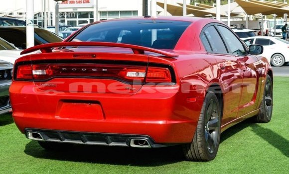Buy Import Dodge Charger Red Car in Import - Dubai in Aragatsotn Buy Import Dodge Charger Red Car in Import - Dubai in Aragatsotn