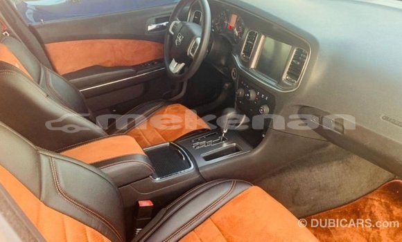 Buy Import Dodge Charger Other Car in Import - Dubai in Aragatsotn Buy Import Dodge Charger Other Car in Import - Dubai in Aragatsotn
