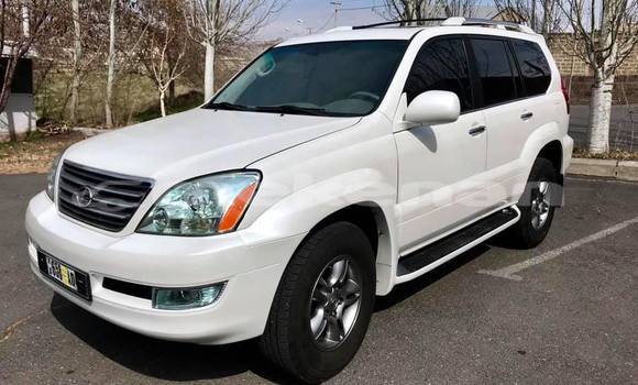 Buy Used Lexus GX White Car in Yerevan in Yerevan Buy Used Lexus GX White Car in Yerevan in Yerevan