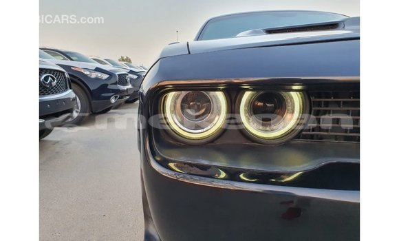 Buy Import Dodge Challenger Black Car in Import - Dubai in Aragatsotn Buy Import Dodge Challenger Black Car in Import - Dubai in Aragatsotn