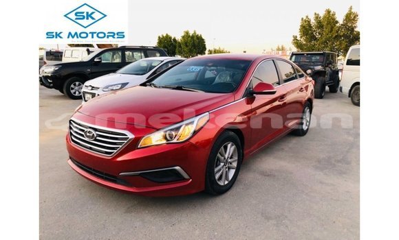 Buy Import Hyundai Sonata Red Car in Import - Dubai in Aragatsotn Buy Import Hyundai Sonata Red Car in Import - Dubai in Aragatsotn