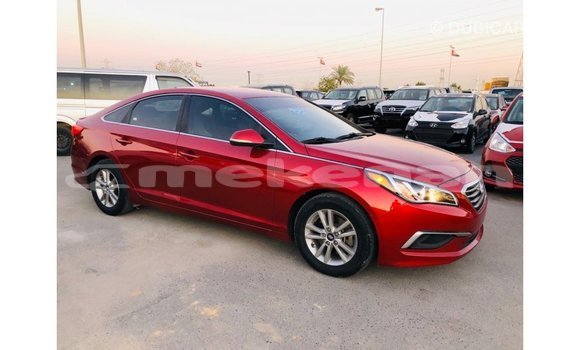 Buy Import Hyundai Sonata Red Car in Import - Dubai in Aragatsotn Buy Import Hyundai Sonata Red Car in Import - Dubai in Aragatsotn