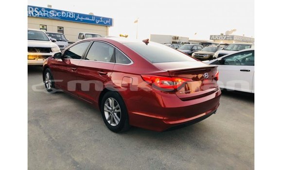 Buy Import Hyundai Sonata Red Car in Import - Dubai in Aragatsotn Buy Import Hyundai Sonata Red Car in Import - Dubai in Aragatsotn