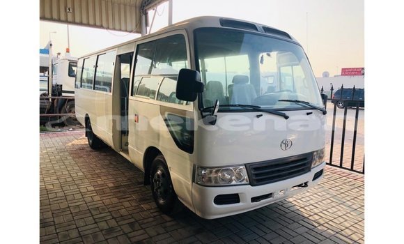 Buy Import Toyota Coaster White Car in Import - Dubai in Aragatsotn Buy Import Toyota Coaster White Car in Import - Dubai in Aragatsotn