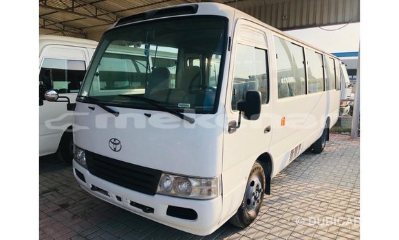 Buy Import Toyota Coaster White Car in Import - Dubai in Aragatsotn Buy Import Toyota Coaster White Car in Import - Dubai in Aragatsotn