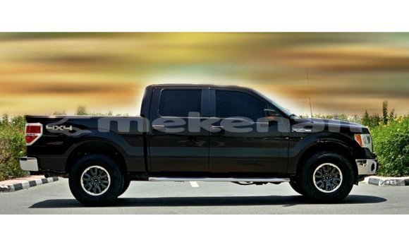 Buy Import Ford Club Wagon Brown Car in Import - Dubai in Aragatsotn Buy Import Ford Club Wagon Brown Car in Import - Dubai in Aragatsotn