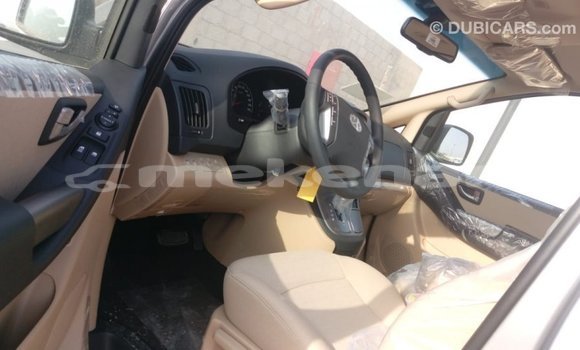Buy Import Hyundai Chorus Brown Truck in Import - Dubai in Aragatsotn Buy Import Hyundai Chorus Brown Truck in Import - Dubai in Aragatsotn