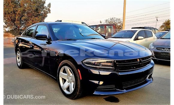 Buy Import Dodge Charger Blue Car in Import - Dubai in Aragatsotn Buy Import Dodge Charger Blue Car in Import - Dubai in Aragatsotn