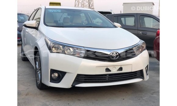 Buy Import Toyota Corolla White Car in Import - Dubai in Aragatsotn Buy Import Toyota Corolla White Car in Import - Dubai in Aragatsotn