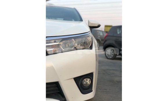 Buy Import Toyota Corolla White Car in Import - Dubai in Aragatsotn Buy Import Toyota Corolla White Car in Import - Dubai in Aragatsotn