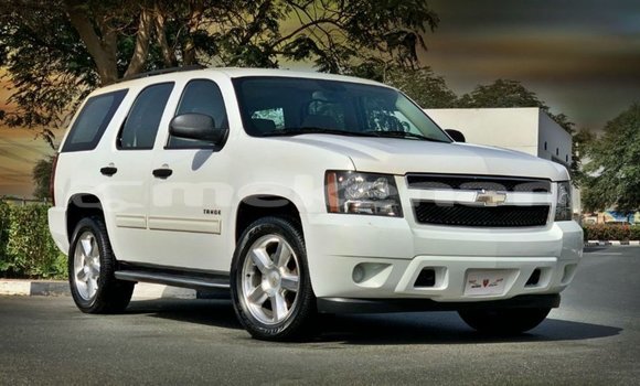 Buy Import Chevrolet Tahoe White Car in Import - Dubai in Aragatsotn