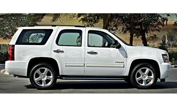 Buy Import Chevrolet Tahoe White Car in Import - Dubai in Aragatsotn Buy Import Chevrolet Tahoe White Car in Import - Dubai in Aragatsotn