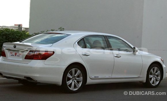 Buy Import Lexus LS White Car in Import - Dubai in Aragatsotn Buy Import Lexus LS White Car in Import - Dubai in Aragatsotn