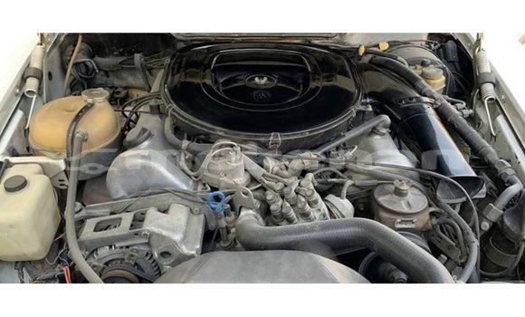 Buy Import Mercedes-Benz 190 White Car in Import - Dubai in Aragatsotn Buy Import Mercedes-Benz 190 White Car in Import - Dubai in Aragatsotn