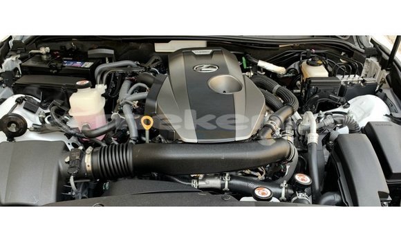 Buy Import Lexus IS White Car in Import - Dubai in Aragatsotn Buy Import Lexus IS White Car in Import - Dubai in Aragatsotn