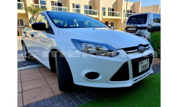 Buy Import Ford Focus White Car in Import - Dubai in Aragatsotn