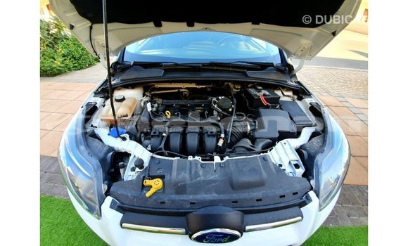 Buy Import Ford Focus White Car in Import - Dubai in Aragatsotn Buy Import Ford Focus White Car in Import - Dubai in Aragatsotn
