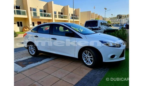 Buy Import Ford Focus White Car in Import - Dubai in Aragatsotn Buy Import Ford Focus White Car in Import - Dubai in Aragatsotn