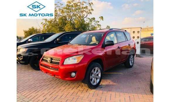 Buy Import Toyota 4Runner Red Car in Import - Dubai in Aragatsotn