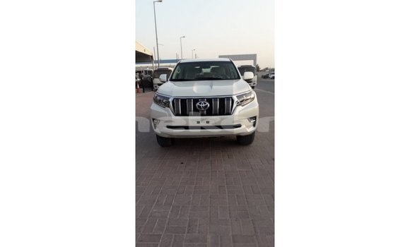 Buy Import Toyota Prado White Car in Import - Dubai in Aragatsotn