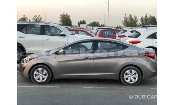 Buy Import Hyundai Elantra Brown Car in Import - Dubai in Aragatsotn Buy Import Hyundai Elantra Brown Car in Import - Dubai in Aragatsotn