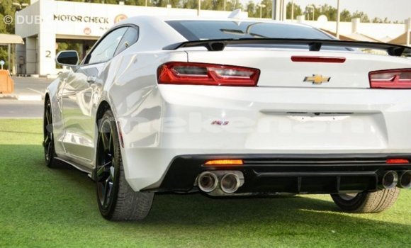 Buy Import Chevrolet Camaro White Car in Import - Dubai in Aragatsotn Buy Import Chevrolet Camaro White Car in Import - Dubai in Aragatsotn