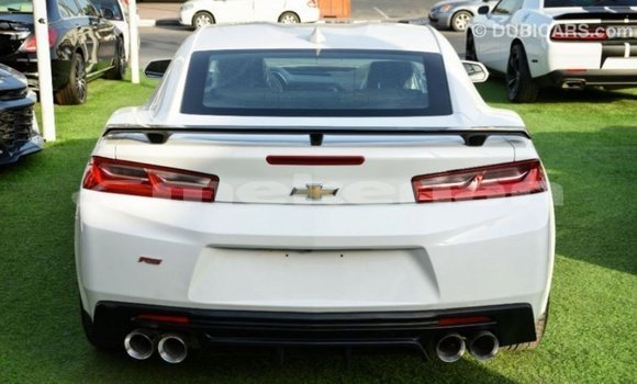 Buy Import Chevrolet Camaro White Car in Import - Dubai in Aragatsotn Buy Import Chevrolet Camaro White Car in Import - Dubai in Aragatsotn