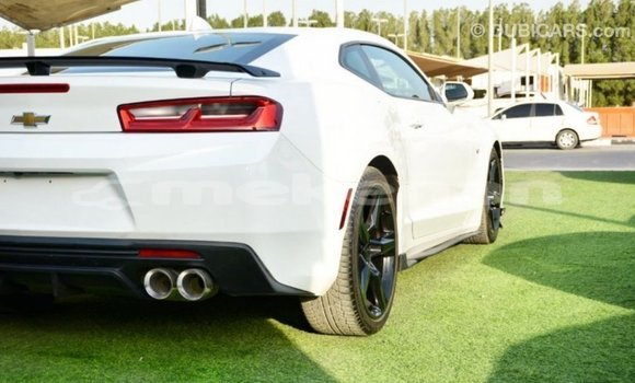 Buy Import Chevrolet Camaro White Car in Import - Dubai in Aragatsotn Buy Import Chevrolet Camaro White Car in Import - Dubai in Aragatsotn