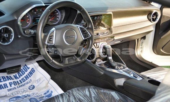 Buy Import Chevrolet Camaro White Car in Import - Dubai in Aragatsotn Buy Import Chevrolet Camaro White Car in Import - Dubai in Aragatsotn