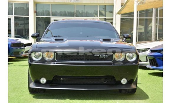 Buy Import Dodge Challenger Black Car in Import - Dubai in Aragatsotn