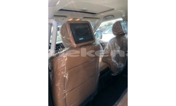 Buy Import Nissan Patrol White Car in Import - Dubai in Aragatsotn Buy Import Nissan Patrol White Car in Import - Dubai in Aragatsotn