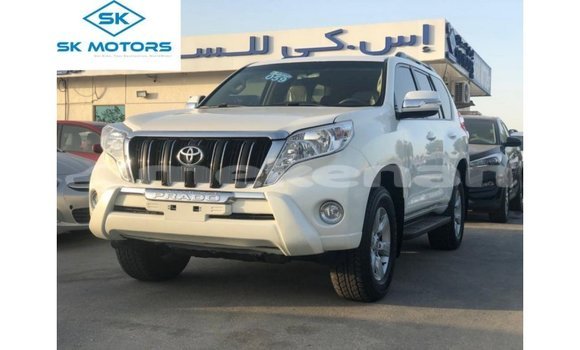 Buy Import Toyota Prado White Car in Import - Dubai in Aragatsotn