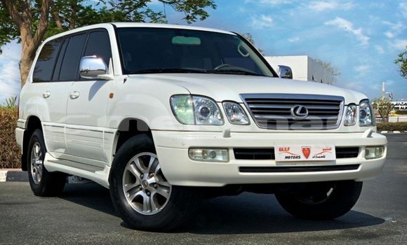 Buy Import Lexus LX White Car in Import - Dubai in Aragatsotn