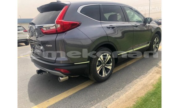 Buy Import Honda C Other Bike in Import - Dubai in Aragatsotn Buy Import Honda C Other Bike in Import - Dubai in Aragatsotn