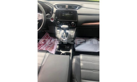 Buy Import Honda C Other Bike in Import - Dubai in Aragatsotn Buy Import Honda C Other Bike in Import - Dubai in Aragatsotn