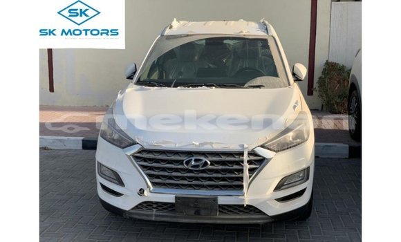 Buy Import Hyundai Tucson White Car in Import - Dubai in Aragatsotn