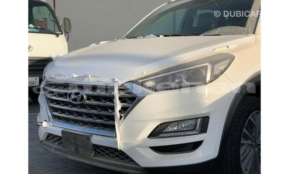 Buy Import Hyundai Tucson White Car in Import - Dubai in Aragatsotn Buy Import Hyundai Tucson White Car in Import - Dubai in Aragatsotn