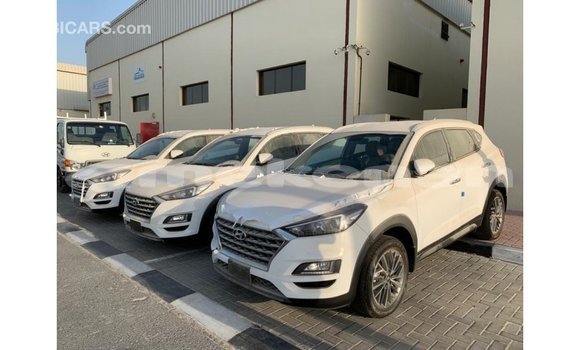 Buy Import Hyundai Tucson White Car in Import - Dubai in Aragatsotn Buy Import Hyundai Tucson White Car in Import - Dubai in Aragatsotn