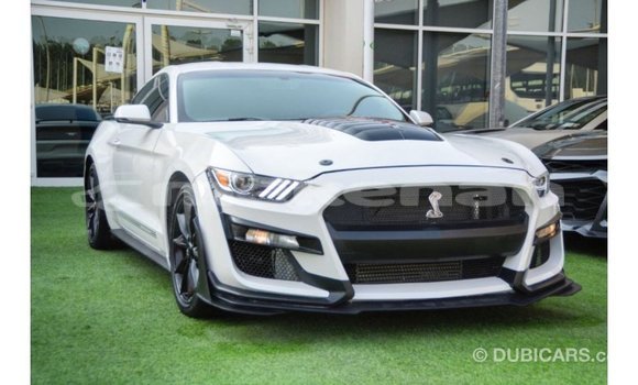 Buy Import Ford Mustang White Car in Import - Dubai in Aragatsotn Buy Import Ford Mustang White Car in Import - Dubai in Aragatsotn