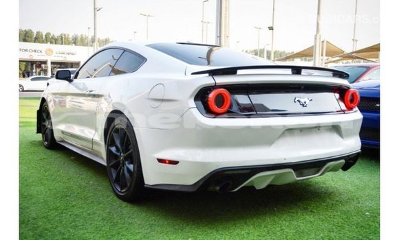 Buy Import Ford Mustang White Car in Import - Dubai in Aragatsotn Buy Import Ford Mustang White Car in Import - Dubai in Aragatsotn