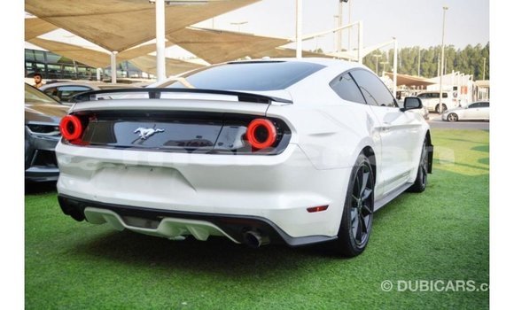 Buy Import Ford Mustang White Car in Import - Dubai in Aragatsotn Buy Import Ford Mustang White Car in Import - Dubai in Aragatsotn