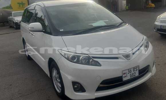 Buy Used Toyota Estima White Car in Yerevan in Yerevan